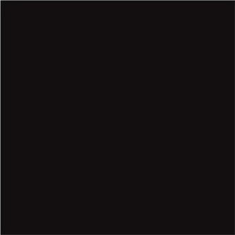 BLACK ABSOLUTE